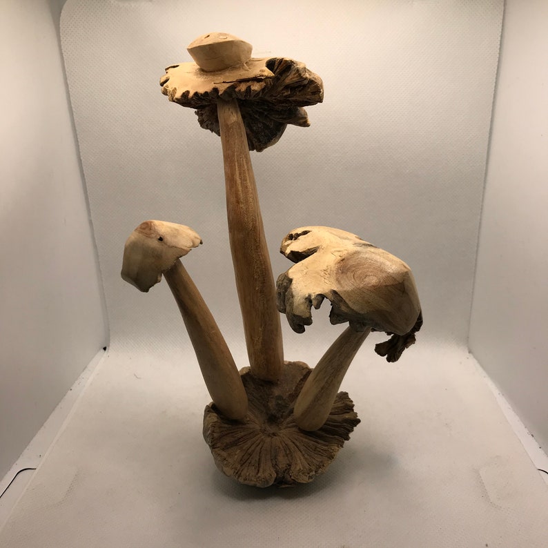 Hand Carved Parasite mushroom with lady bug