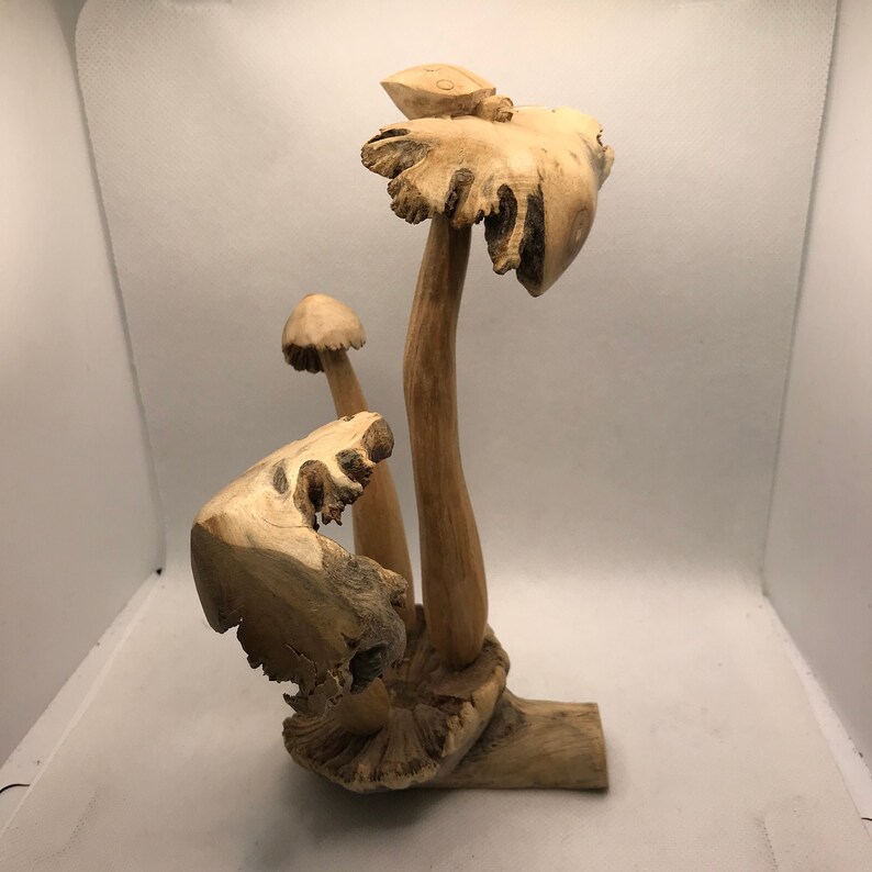 Hand Carved Parasite mushroom with lady bug