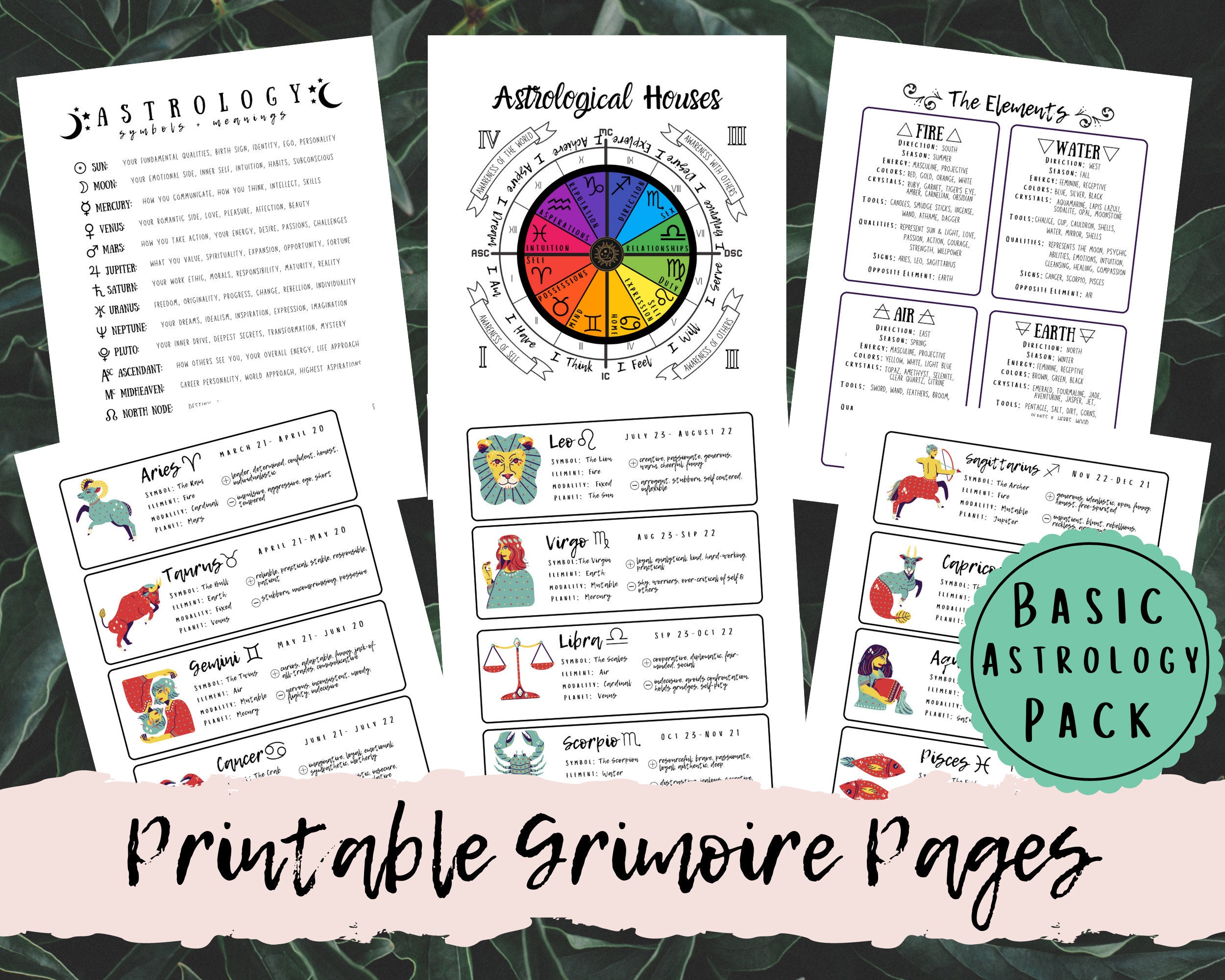 Astrology Basics Printable Pages for Grimoire Astrological | Etsy