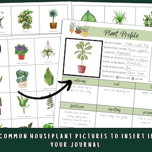 Houseplant Journal Printable Plant Care Planner Tracker image 7