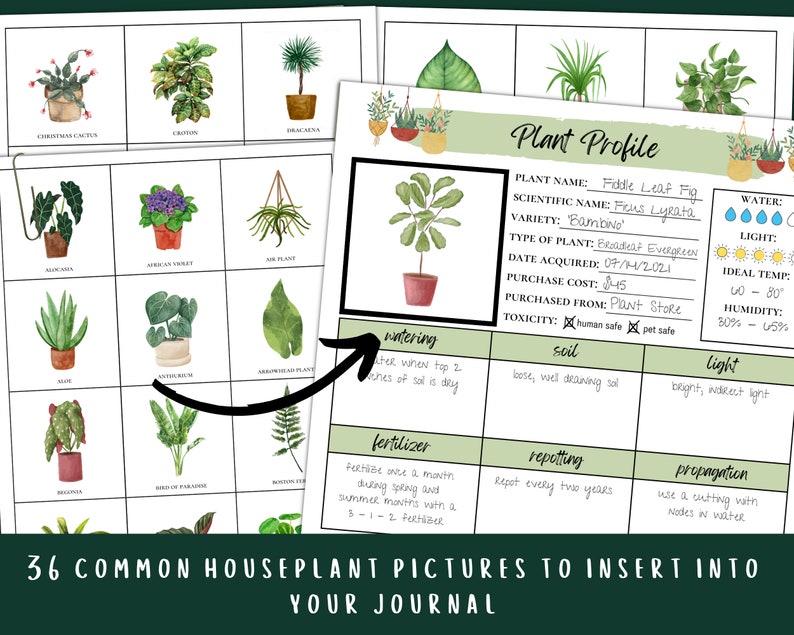 Houseplant Journal Printable Plant Care Planner Tracker image 7