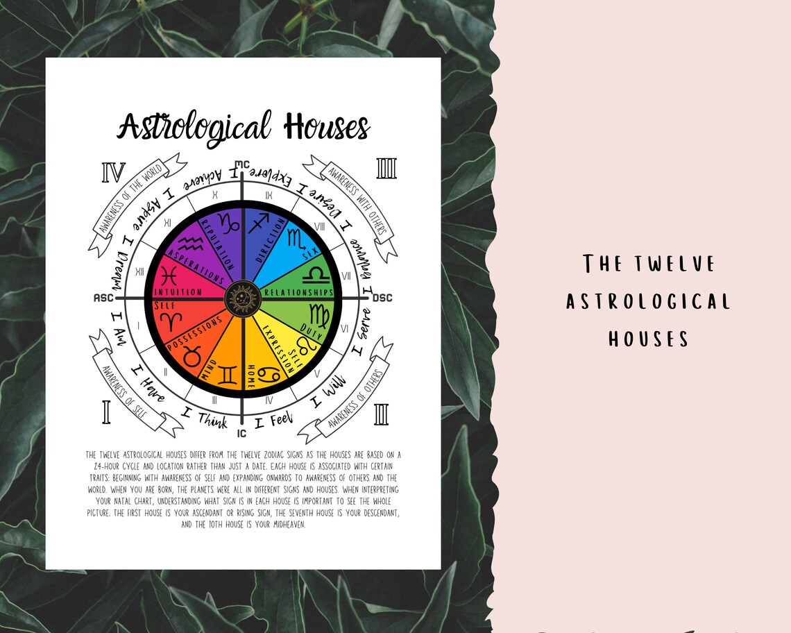 Astrology Basics Guide Printable Grimoire Pages Book of Etsy