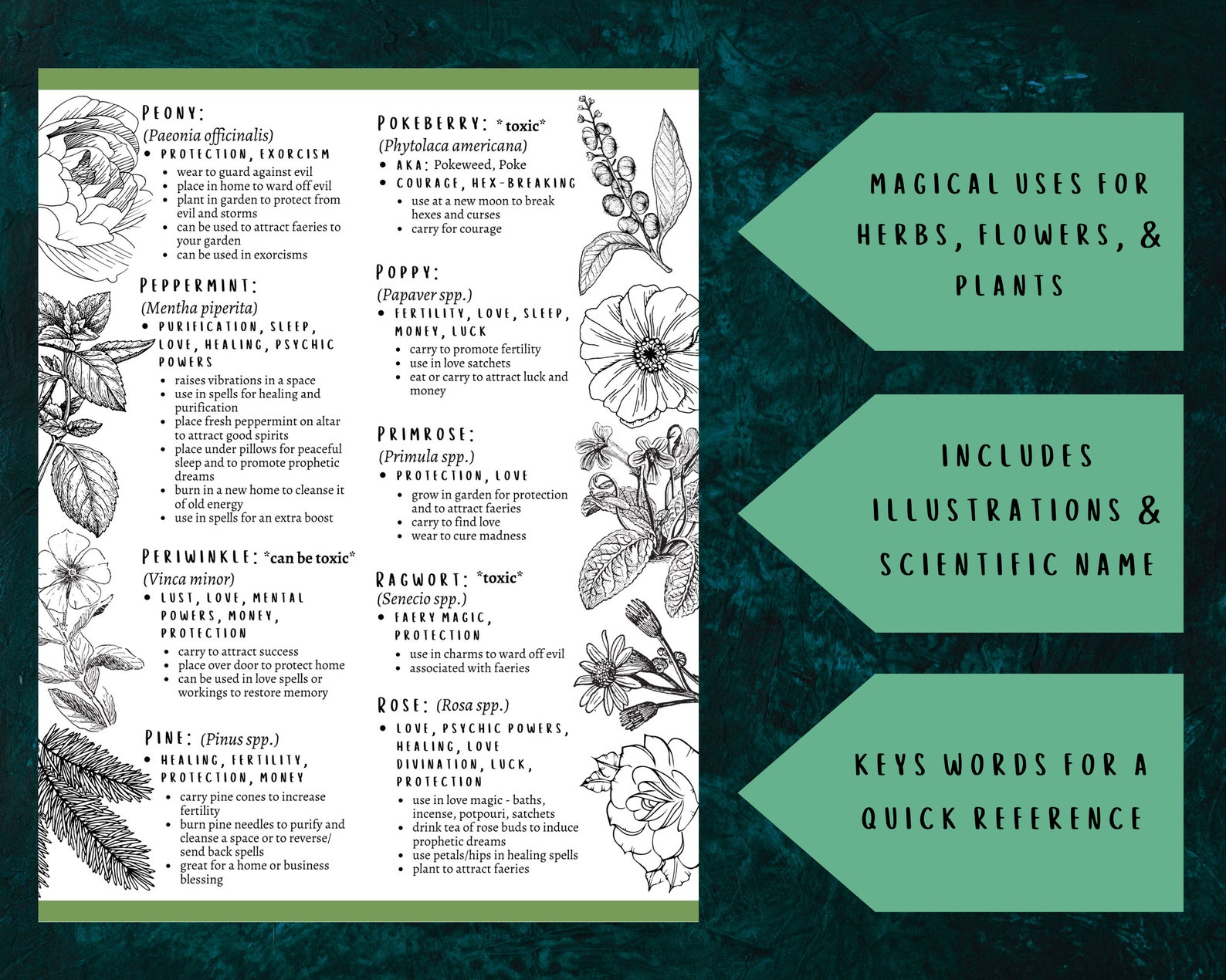 Herbal Magic Guide Printable Grimoire Pages, Wiccan Herbs Cheat Sheet ...