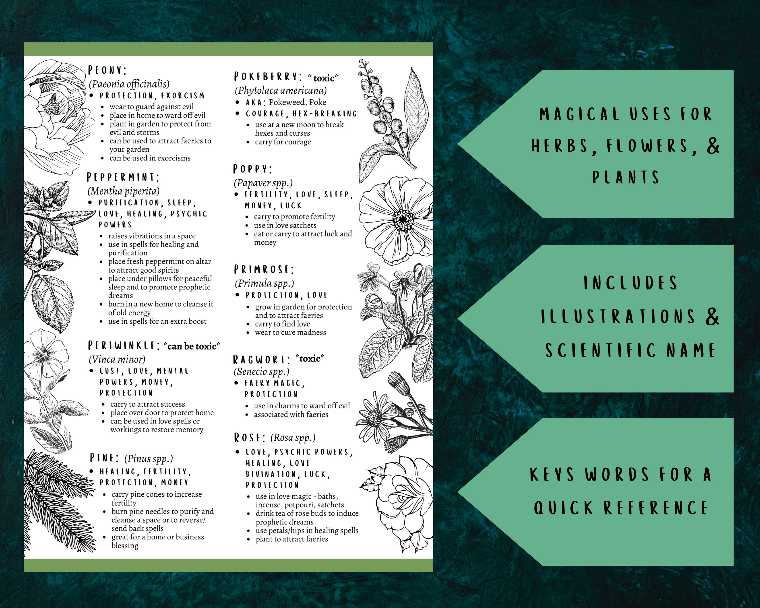 Herbal Magic Guide Printable Grimoire Pages Wiccan Herbs - Etsy