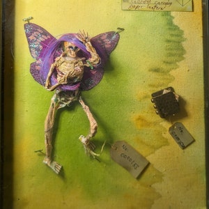 Taxidermied Fairies - large
