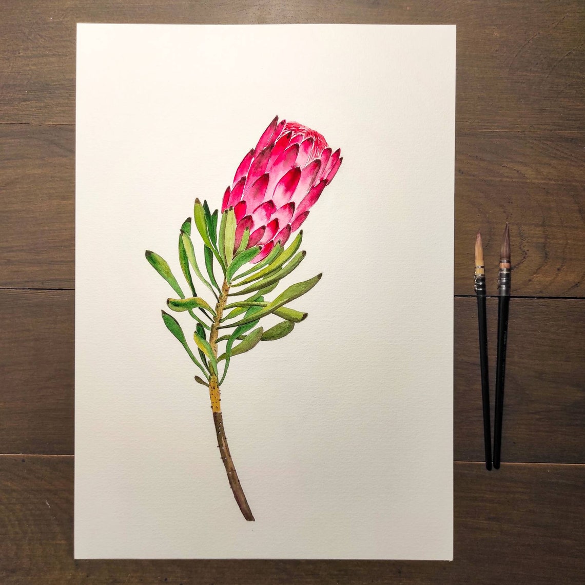 Watercolor Protea. Floral Watercolor Painting Colorful | Etsy