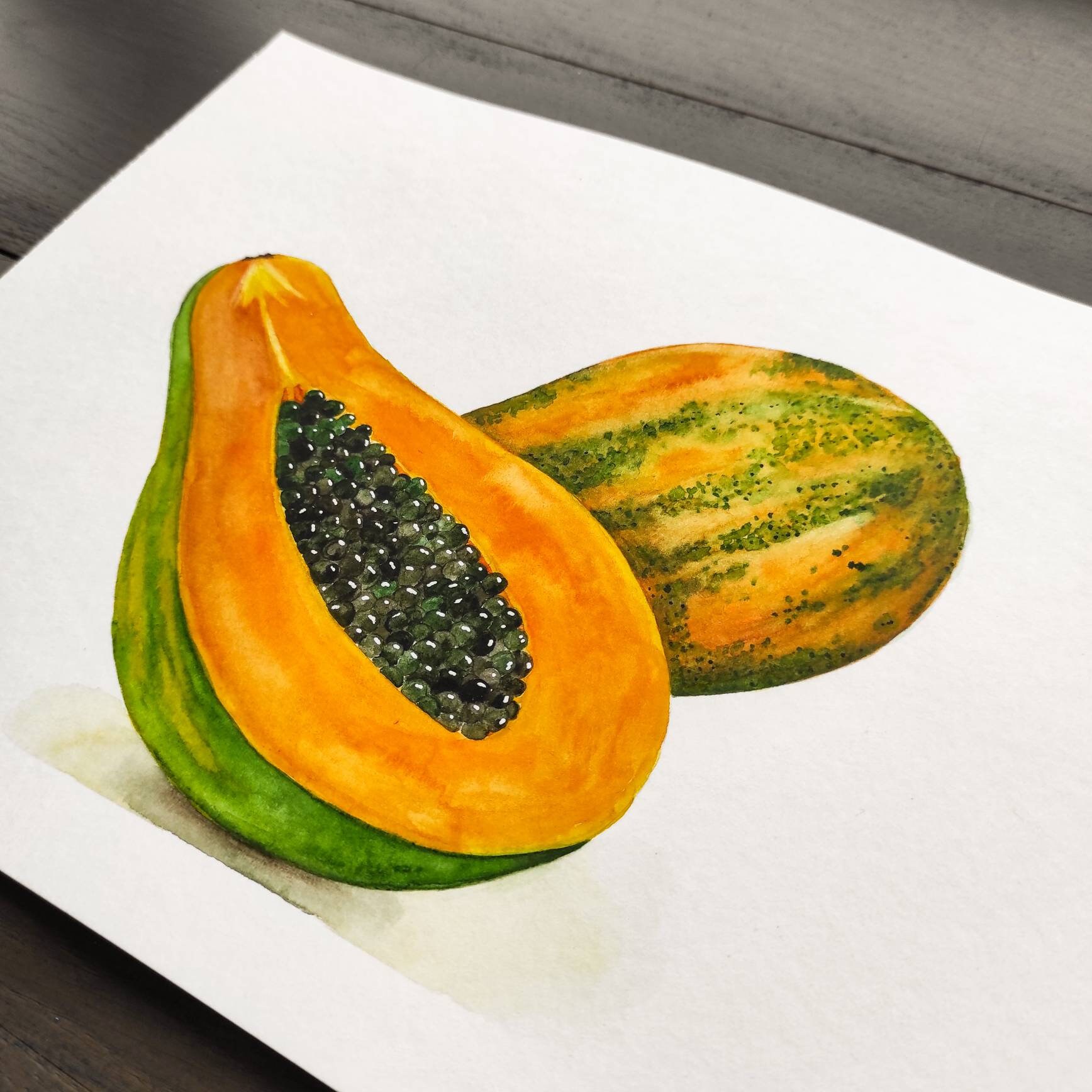 Watercolor papaya. Orange papaya. Watercolor illustration. Etsy