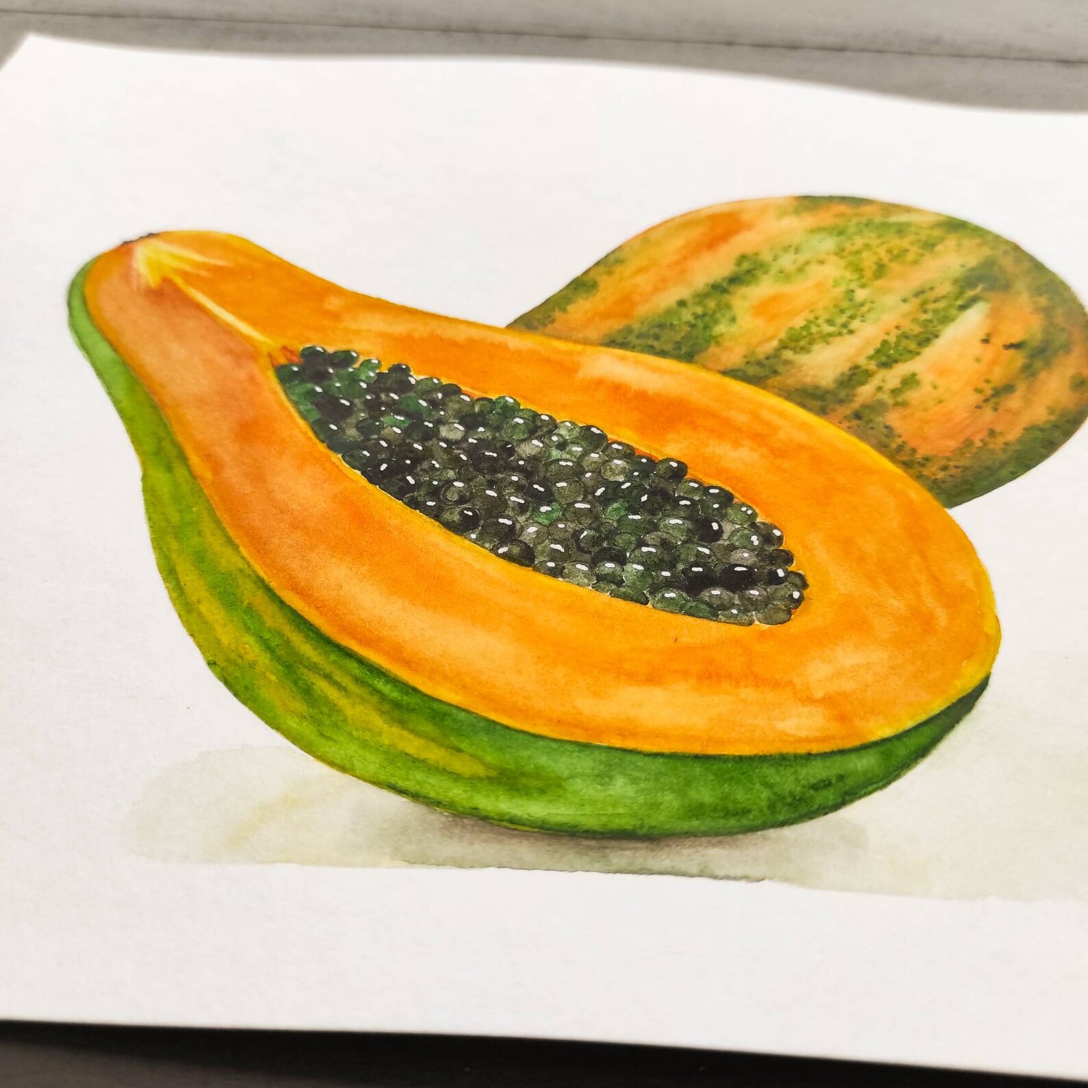 Watercolor papaya. Orange papaya. Watercolor illustration. Etsy
