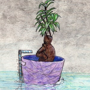 Barquero