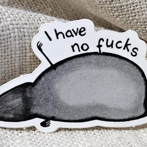Je n'ai pas de raton laveur en langue F Sticker