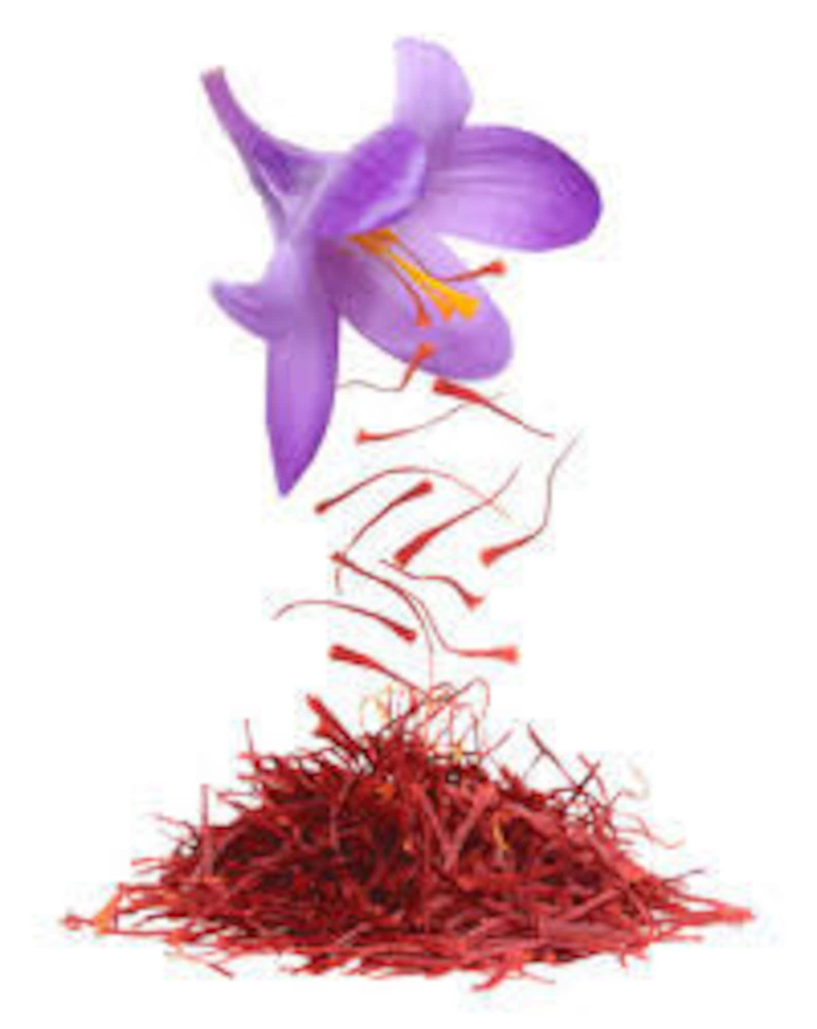 Organic Dried Saffron Indian Saffronkesar Kashmiri Saffron Etsy