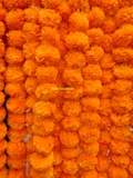 Wholesale Lot Marigold garland for day of the dead, Dia de Los Muertos altar. Day of the dead decor US SELLER product logo