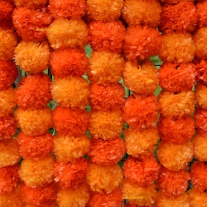 Könnte beinhalten: Nahaufnahme einer Wand aus orangefarbenen Ringelblumen. Die Blumen sind dicht gepackt und bilden eine strukturierte Oberfläche. Die Farbe ist eine Mischung aus Orangetönen, von hell bis dunkel. Die Anordnung deutet auf einen dekorativen oder zeremoniellen Zweck hin.