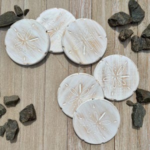 Sand Dollar coasters/Coasters/Beach Coasters