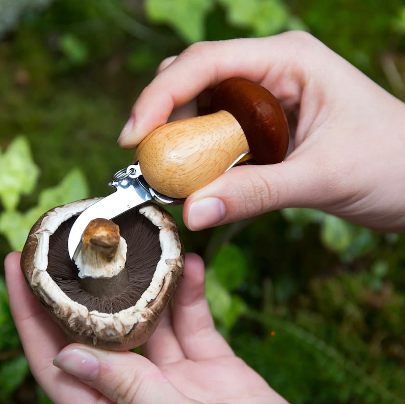 Wooden Mushroom Knife Mushroom Brush Foraging Tools Forage Etsy