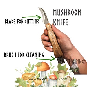 May include: A mushroom knife with a curved blade and a brush for cleaning. The knife has a wooden handle with a ruler etched on the side. The text "MUSHROOM KNIFE" is written in black above the knife. The text "BLADE FOR CUTTING" is written in green to the left of the knife. The text "BRUSH FOR CLEANING" is written in green to the left of the brush. The text "www.theArcticPines.com" is written in black below the knife.