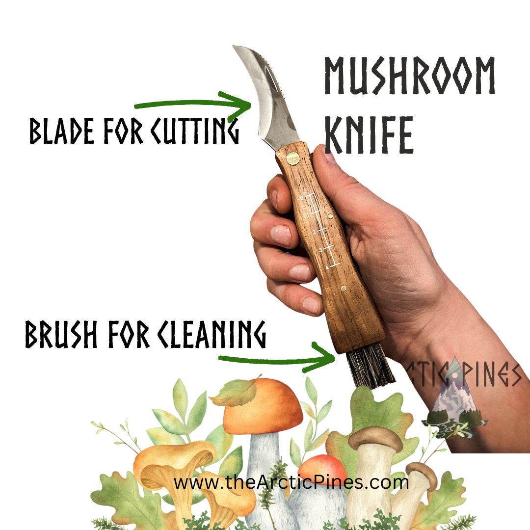 Mushroom Foraging Knife with cleaning brush – CULTUREShrooms