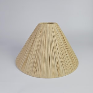 Coolie Handmade Raffia Lampshade
