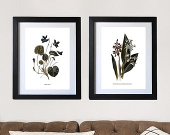 Two Framed Vintage Botanical Floral Wall Art Prints, Gallery Wall Prints, Contemporary Wall Decor, Flowers Wall Art, Living Room Decor