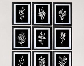 Large Botanical Wall Art, Set Of 9 Prints, Antique Botanical Black And White Floral Prints, Living Room Wall Art, Flower Art Print