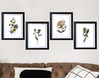 Framed Vintage Botanical Floral Wall Art Prints, Botanical Art Neutral Home Decor, Modern Eclectic Gallery Wall, Large Framed Art Work