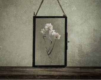 White Dried Flower In Hanging Glass Frame, Framed Herbarium, Pressed Flower Frame, Housewarming Gift, Home Decor , Unique Wall Art Decor