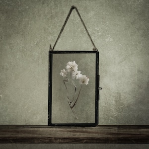 White Dried Flower In Hanging Glass Frame, Framed Herbarium, Pressed Flower Frame, Housewarming Gift, Home Decor , Unique Wall Art Decor