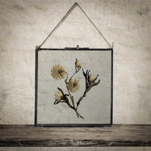 Dried Pressed Flowers In Hanging Glass Frame, Framed Dried Flowers, Pressed Flower Frame, Wall Art Home Decor, Special Housewarming Gift