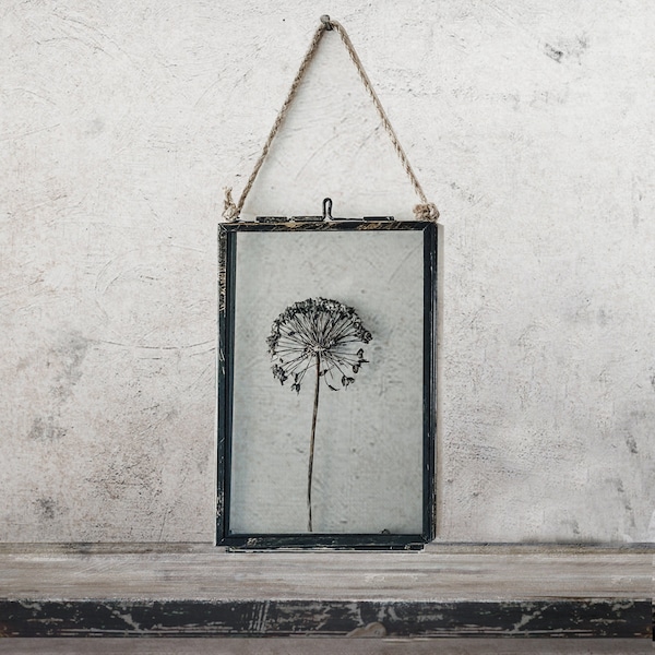 Rustic Dried Flowers In Hanging Frame, Dried Allium, Pressed Flower Frame, Herbarium, Framed Dried Flowers, New Home Gift For Best Friend
