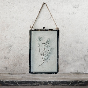 Dried Flower Herbarium Hanging Frame, Pressed Lavender Leaves, Pressed Flower Frame Gift, Floating Frame Wall Decor, Dried Flower Frame