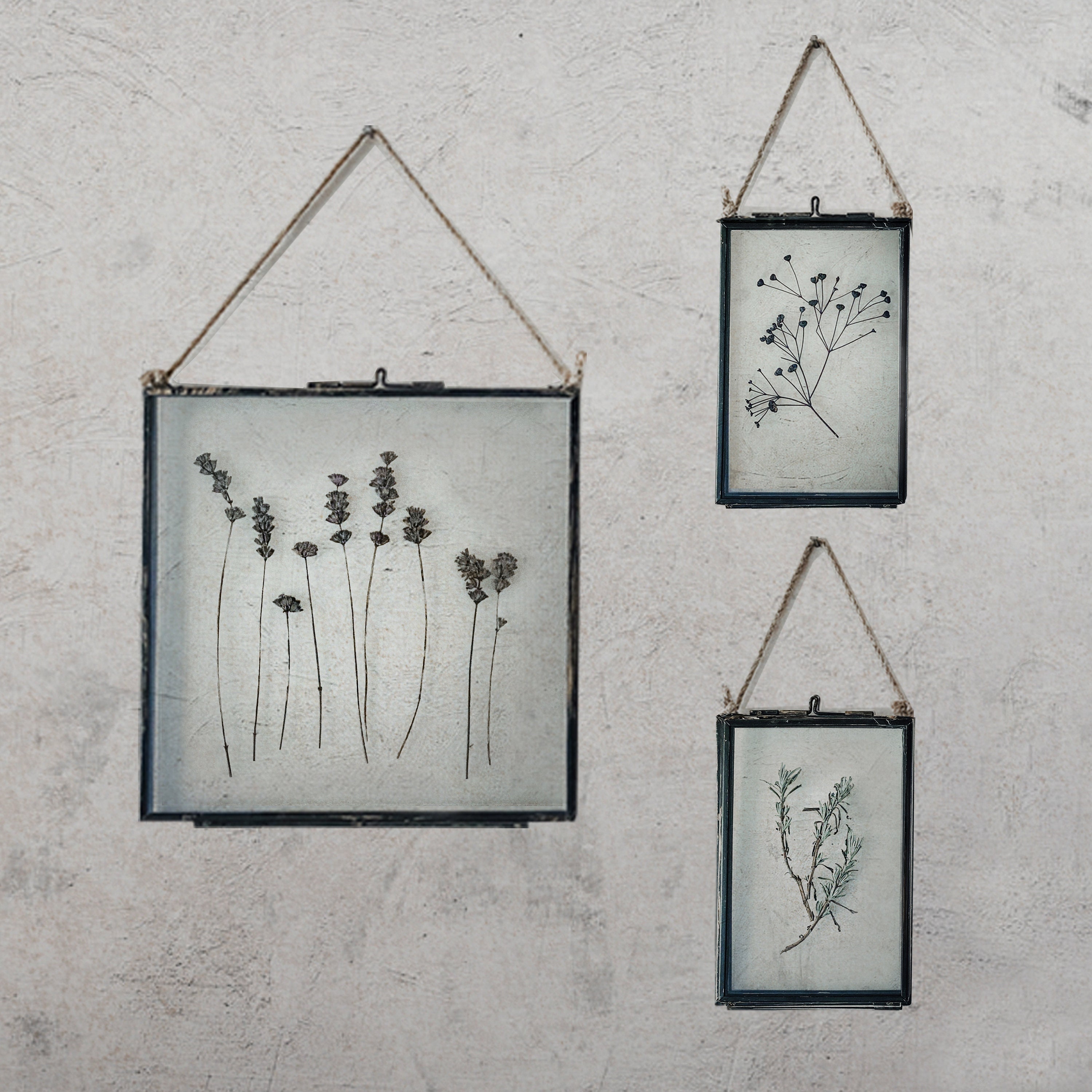 Ensemble De Trois Herbiers