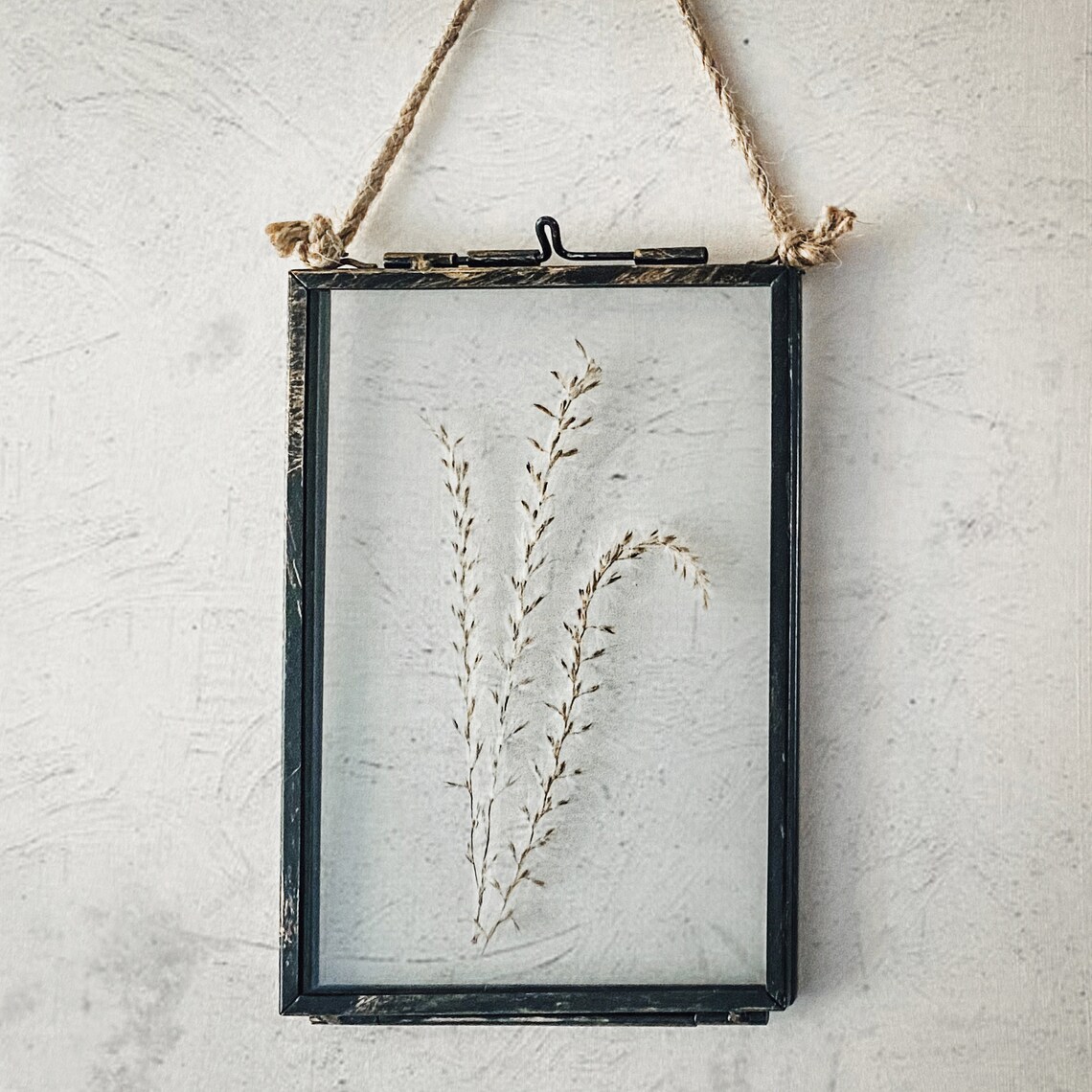 Framed Pampas Grass Wall Hanging Decor Dried Grass in Frame Etsy Australia