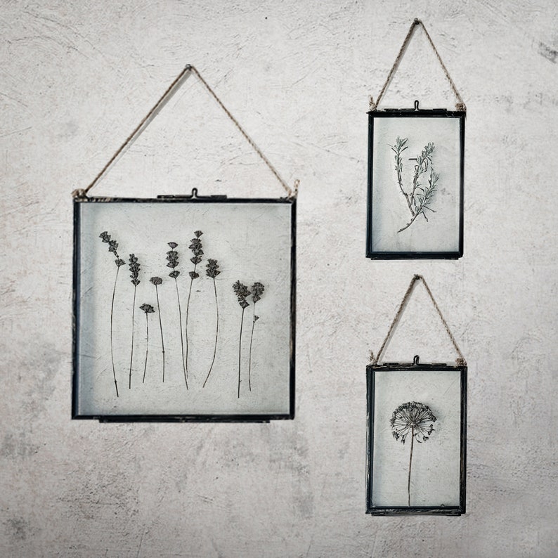Rustic Dried Flowers In Hanging Frame, Dried Allium, Pressed Flower Frame, Herbarium, Framed Dried Flowers, New Home Gift For Best Friend image 2