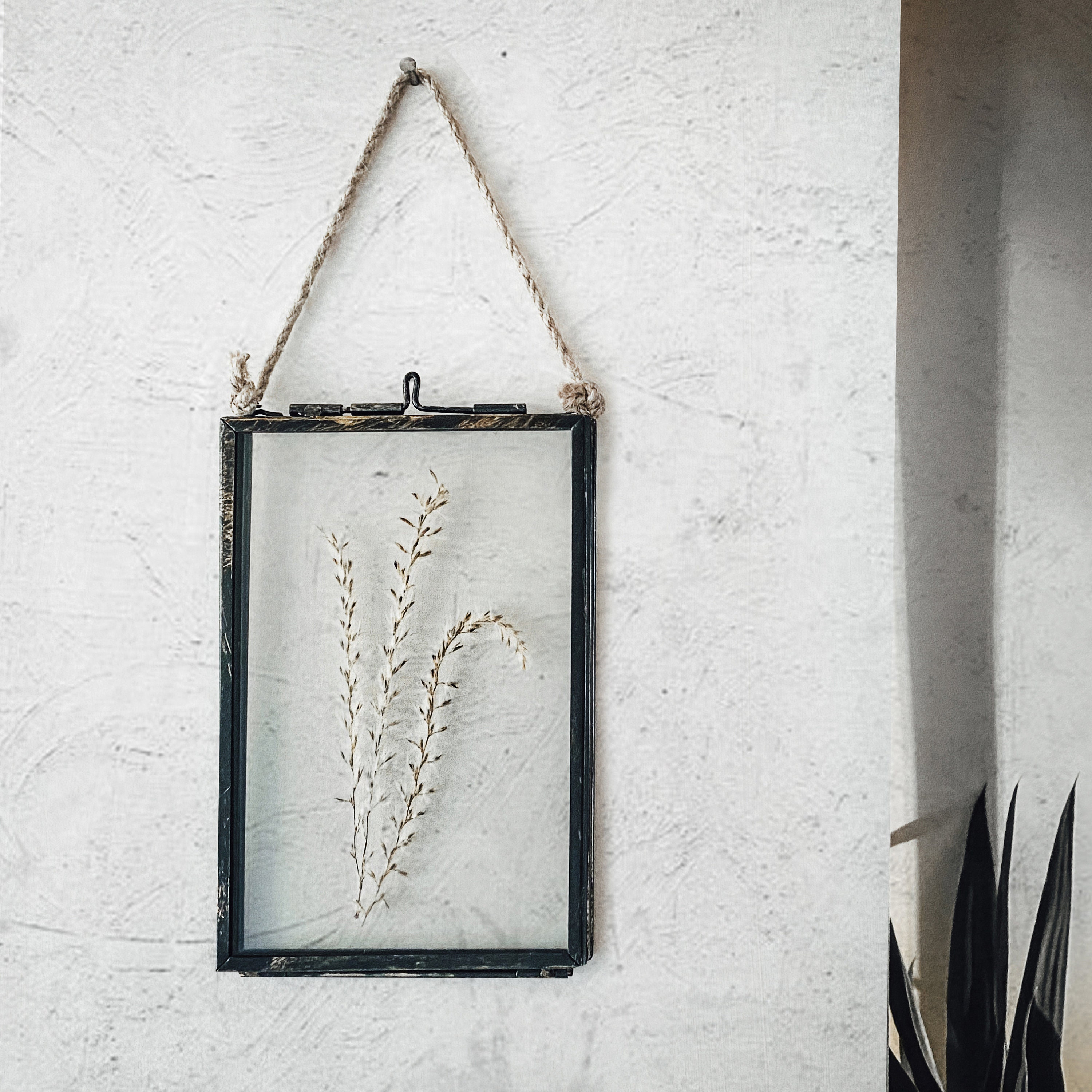 Framed Pampas Grass Wall Hanging Decor Dried Grass in Frame Etsy
