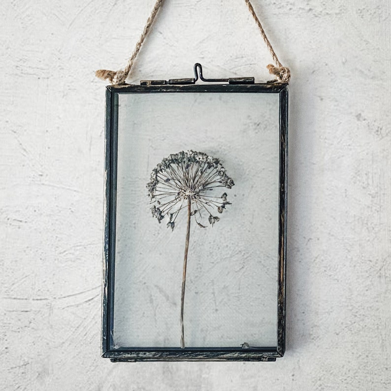 Rustic Dried Flowers In Hanging Frame, Dried Allium, Pressed Flower Frame, Herbarium, Framed Dried Flowers, New Home Gift For Best Friend image 4
