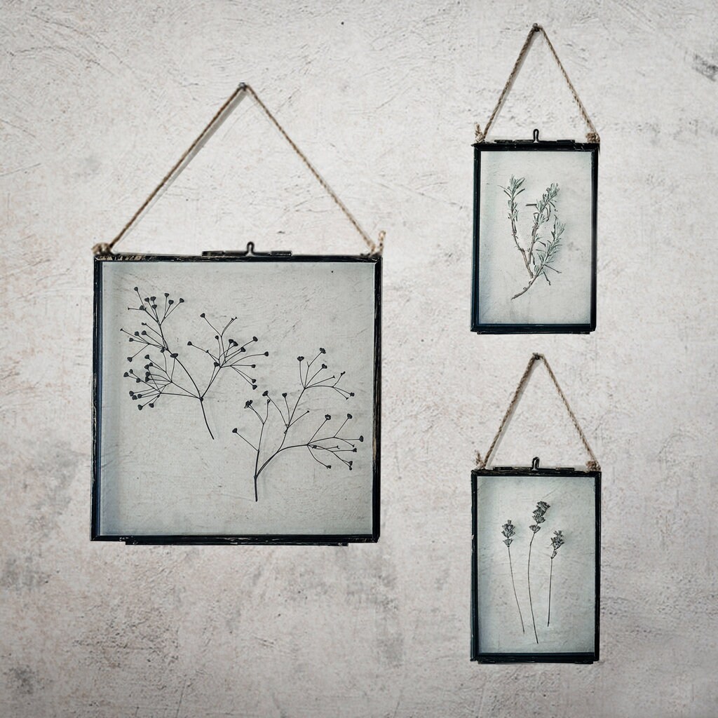 Ensemble De cadres D'herbier,