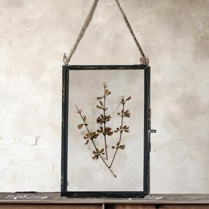 Antique Herbarium Pressed Flower Frame, Framed Dried Flowers, Unique Preserved Flowers Housewarming Gift, Botanical Wall Art Decor