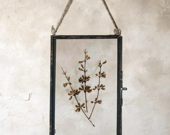 Marco de flores prensadas de herbario antiguo, flores secas enmarcadas, regalo único de inauguración de la casa con flores preservadas, decoración botánica de pared