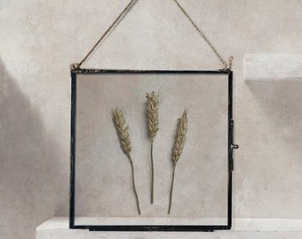 Blé séché dans un cadre en verre suspendu, cadre de fleurs pressées, herbier encadré, art mural de décoration intérieure, cadeau de pendaison de crémaillère pour le meilleur ami