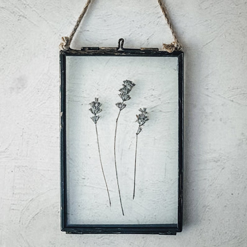 Dried Lavender In Glass Hanging Frame, Pressed Flower Frame, Rustic Picture Frame, Framed Dried Flowers, Herbarium, Housewarming Gift image 4