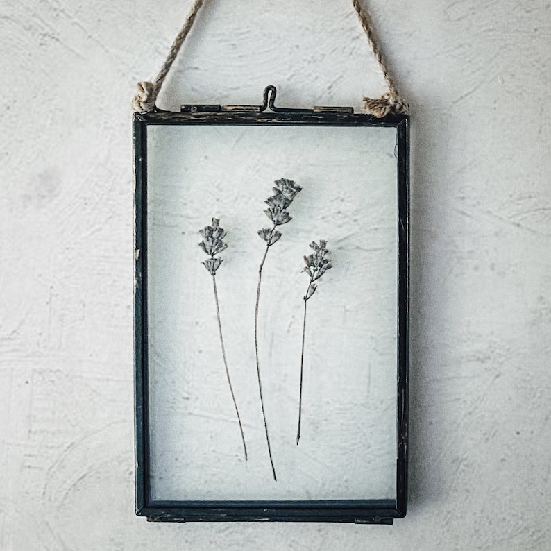 May include: A black metal frame with a glass front, hanging from a twine rope. Dried lavender flowers are pressed inside the frame.