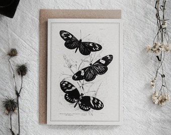 May include: A black and white butterfly print on a cream-colored card. The illustration features three butterflies with detailed wing patterns, set against a backdrop of delicate plant stems. The card is placed on a textured white surface.