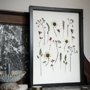 Pode incluir: Uma impressão botânica emoldurada com flores silvestres e vegetação prensadas. O arranjo inclui margaridas brancas, flores roxas e vários caules, tudo sobre um fundo branco dentro de uma moldura preta. A obra de arte é exibida em uma superfície escura.