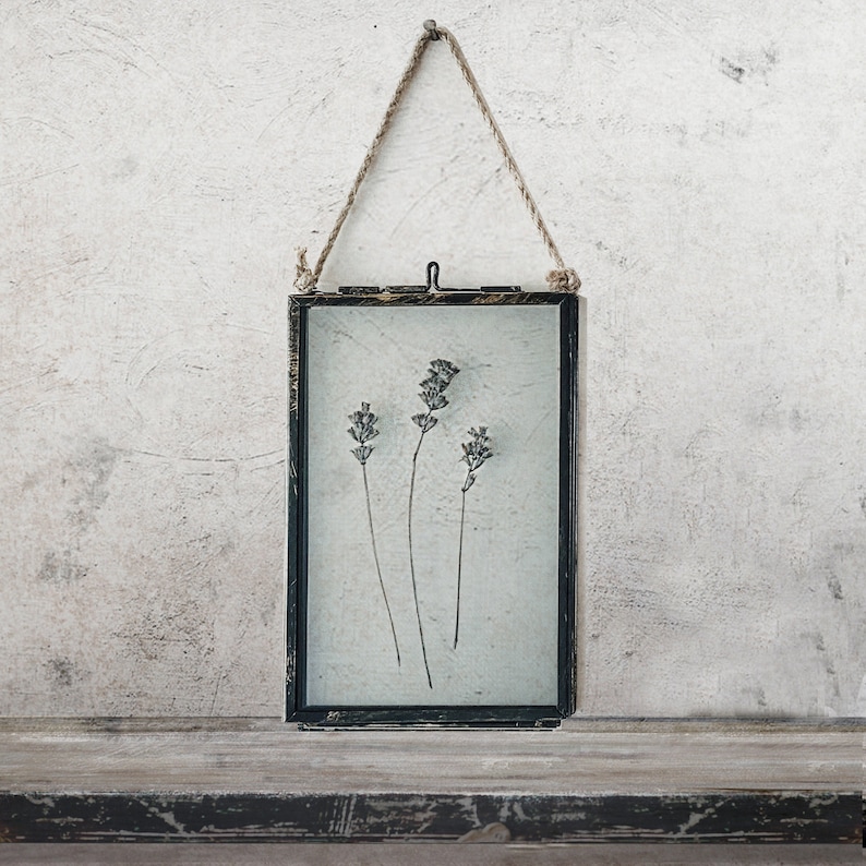 Dried Lavender In Glass Hanging Frame, Pressed Flower Frame, Rustic Picture Frame, Framed Dried Flowers, Herbarium, Housewarming Gift image 1