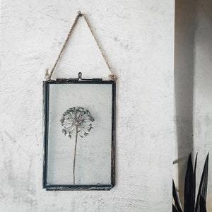 Rustic Dried Flowers In Hanging Frame, Dried Allium, Pressed Flower Frame, Herbarium, Framed Dried Flowers, New Home Gift For Best Friend image 5