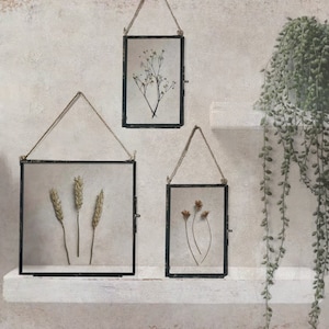 3 Piece Wall Art, Framed Herbarium, Pressed Flower Frame, Thoughtful Wedding Gift, Housewarming Gift, Pressed Dried Flower Art, Home Decor