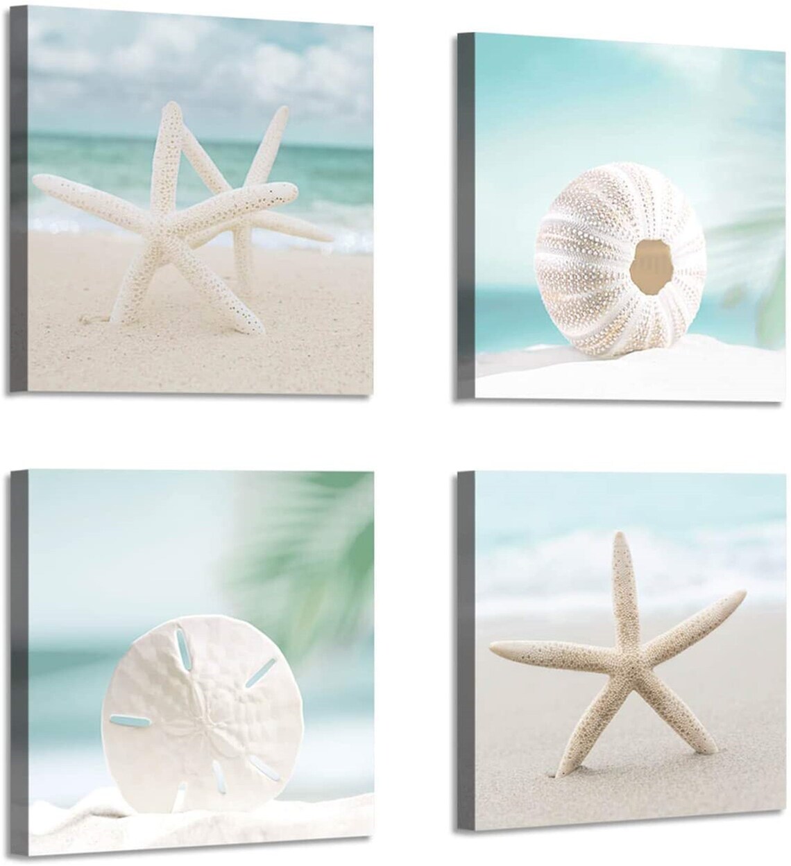 Seashell Picture Canvas Wall Art Beach Themed Artwork Etsy