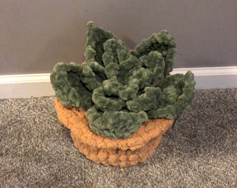Handmade crochet succulent