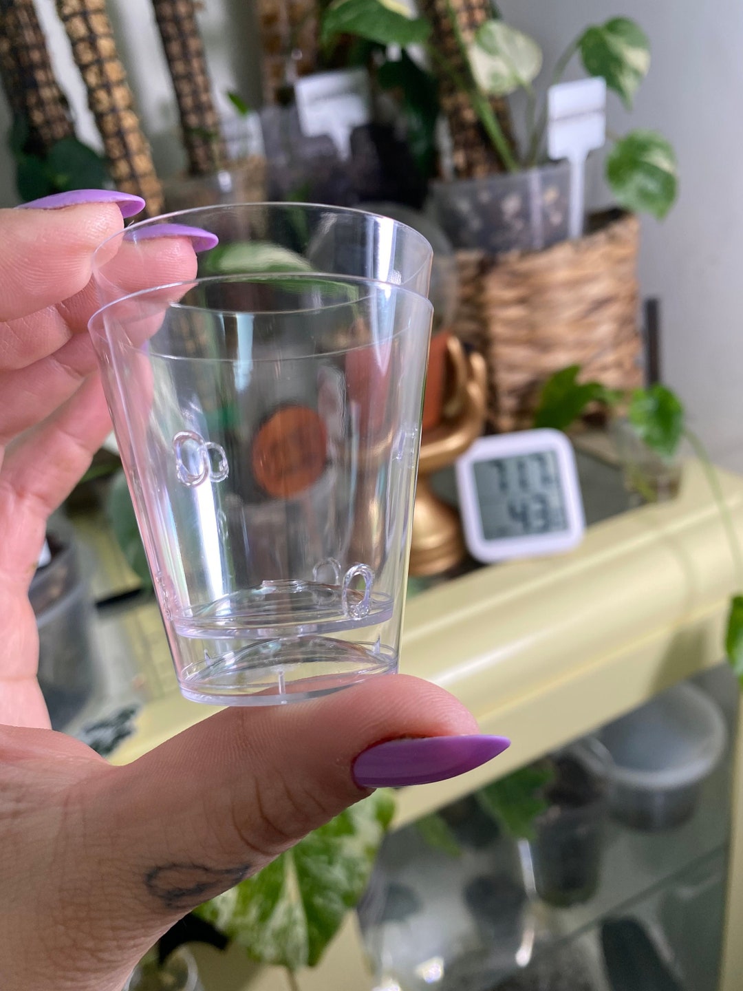 Handmade Hard Clear Plastic orchid Pots kratky Pots semihydroponic