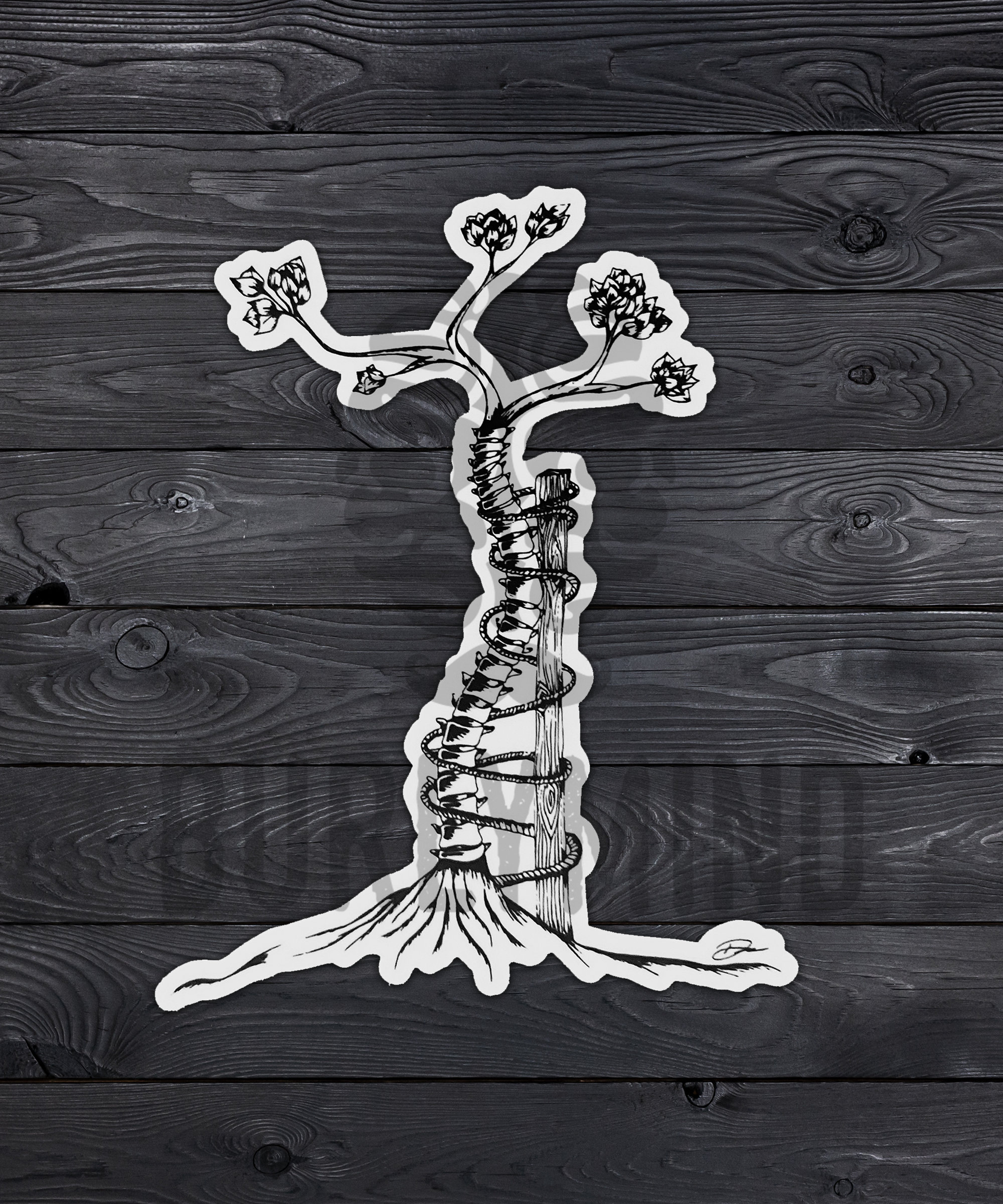 Matt Furie Spora & Spine 鉛筆画 2005年制作 Matt Furie Spora & Spine 鉛筆画 2005年制作 AIYANA UDESEN/MATT